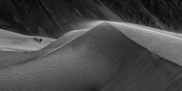 SAND DUNES 1.jpg