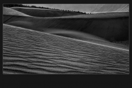 SAND DUNES 4.jpg