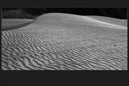 SANDDUNES 3.jpg